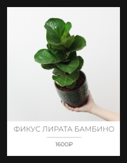 О проекте